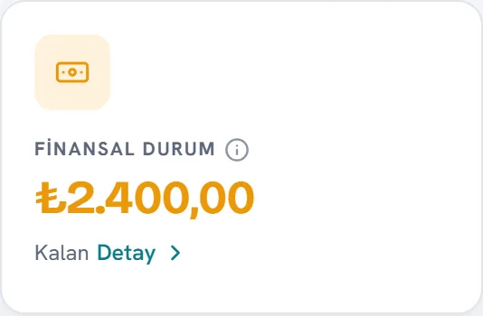 Finansal durum: kalan 2.400 TL
