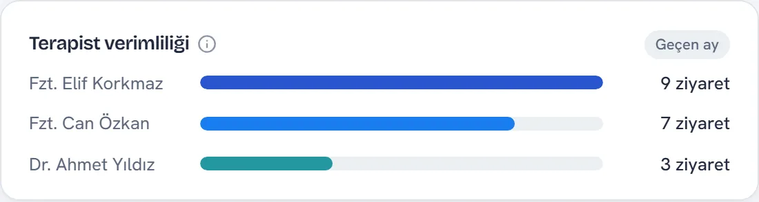 Fizyoterapist başına geçen ayki ziyaret sayısı