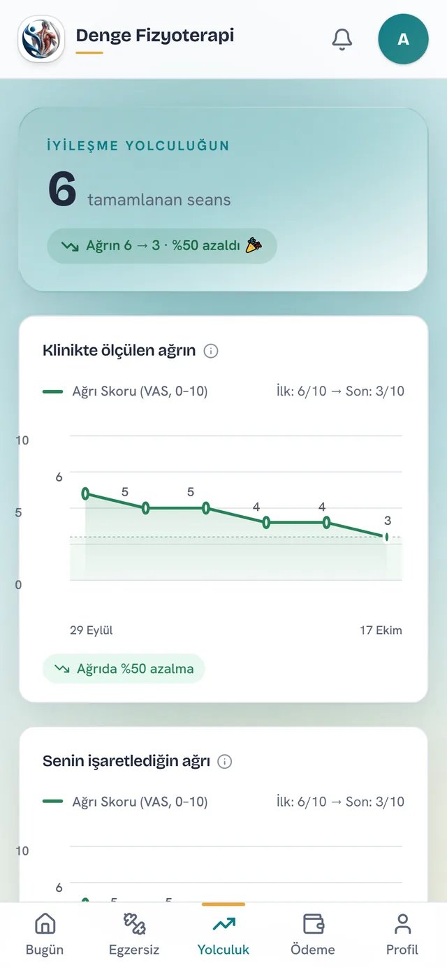 Hastanın iyileşme yolculuğu: 6 tamamlanan seans, ağrı 6’dan 3’e
